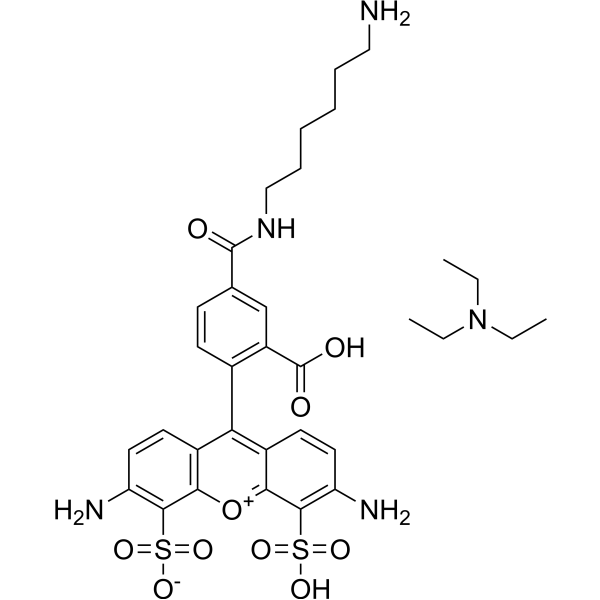 AF488 amine
